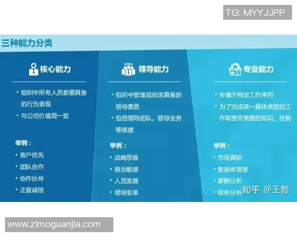 数据分析：深入探讨WE团队成员个人能力表现及其对整体绩效的影响