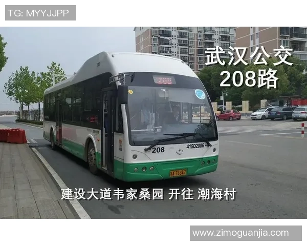 武汉乒乓球队的阵地战解析与未来发展展望