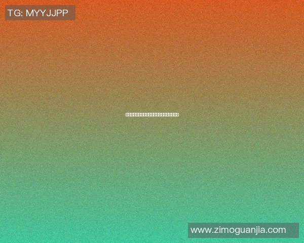 深入分析上海网球队的进攻策略与战术特点探讨