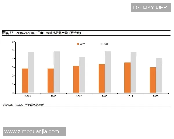 重庆滑板队战术表现深度分析与数据洞察探讨