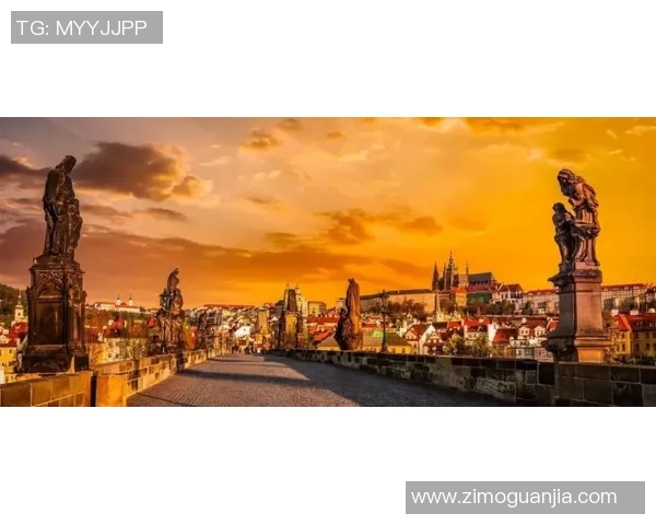 布莱克尼的魅力探索：揭开这座城市的历史与文化之美