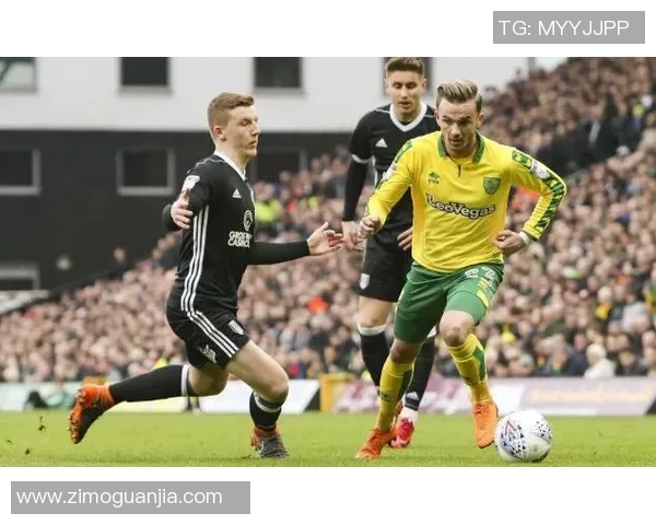 布伦特福德对诺维奇城精彩直播全程回顾与赛后分析