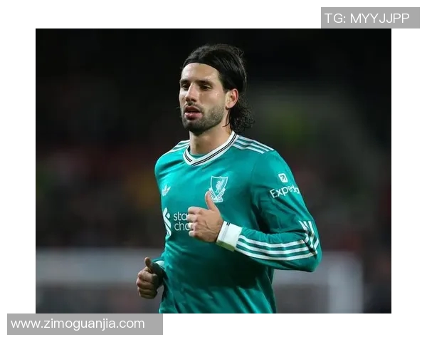 探寻索博斯洛伊的历史与文化魅力,揭开神秘面纱的旅程之旅 探寻索博斯洛伊的历史与文化魅力,揭开神秘面纱的旅程之旅