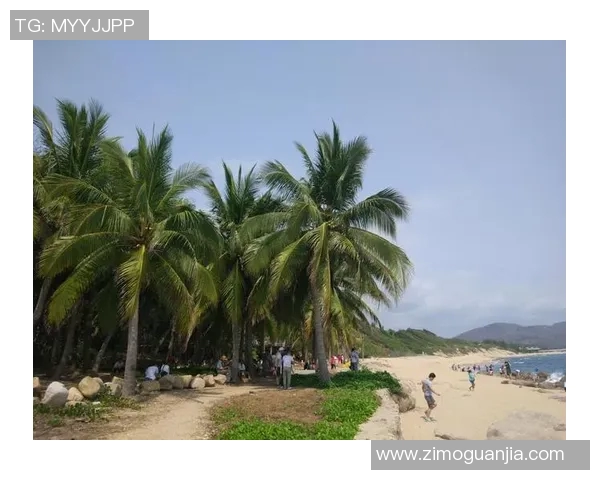 马总与马总的较量：商业智慧与领导风格的深度对比与启示