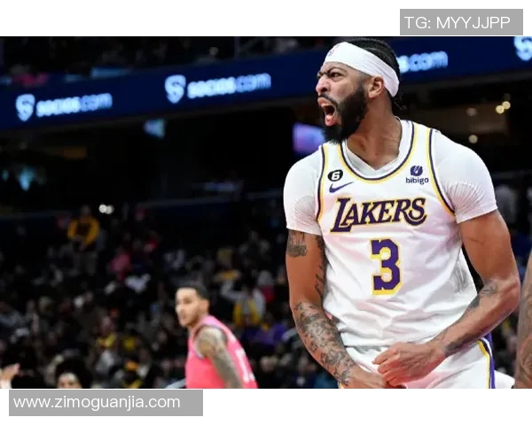 今天湖人对阵鹈鹕精彩回放分析与比赛亮点全记录